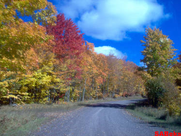 More Fall Colors 2!!!