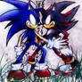 Sonic VS Shadow COLOURED