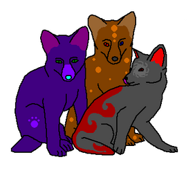 Fox  - point adoptables