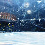 Winterland
