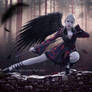 Angel of black demon