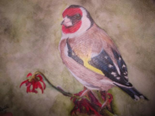 Goldfinch