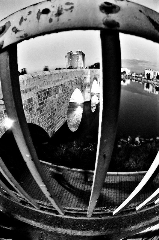 fish eye experiment III