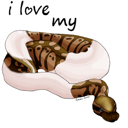 Royal Python Drawings I Love My Royal Python (piedbald) by Emma-Jade on DeviantArt