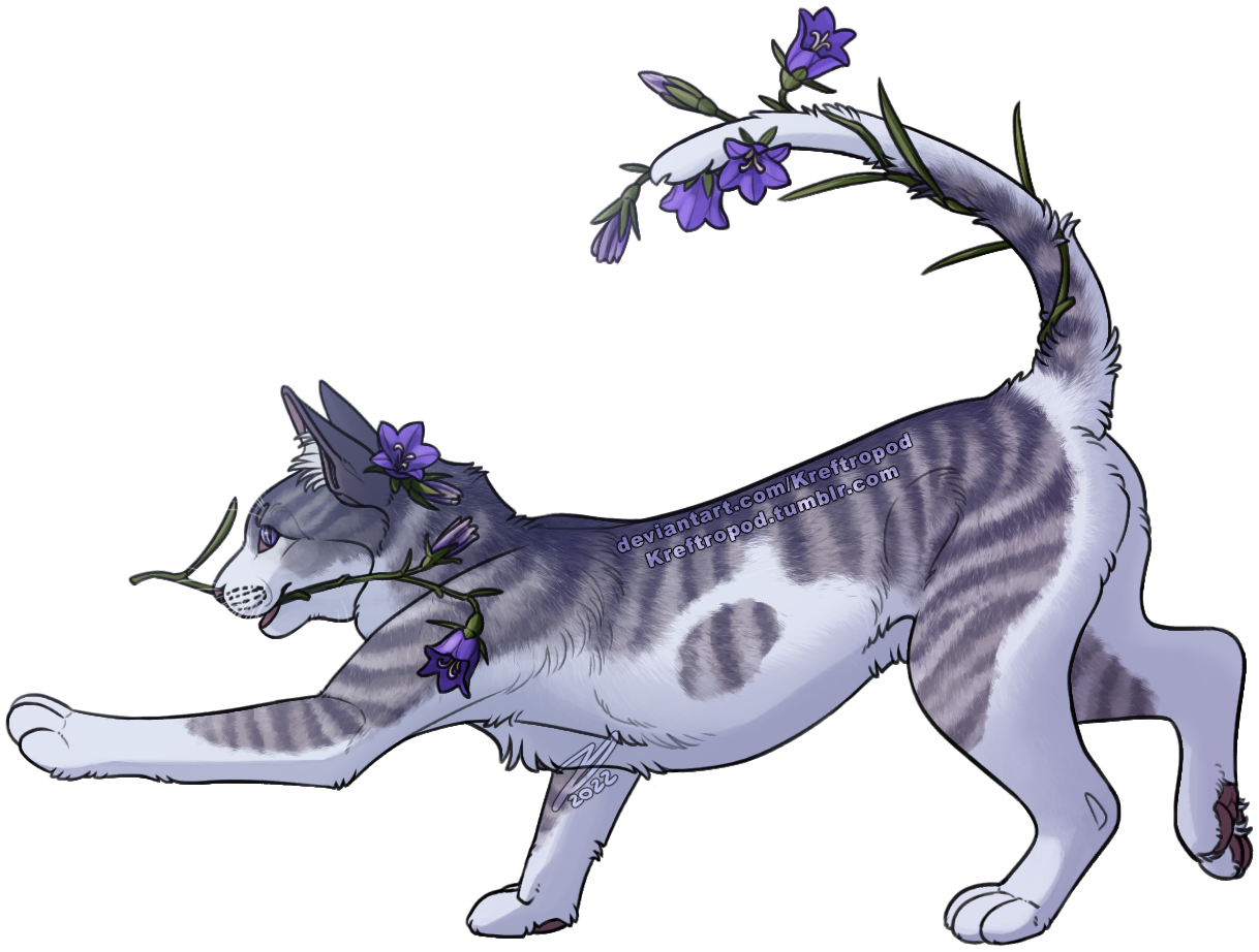 Ashfur and Ferncloud design 2021 - Warriors Cats by AngelDalet on DeviantArt