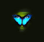 Hidden butterfly by IreneScene