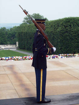 The Tomb of the Unknowns