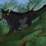 Graystripe