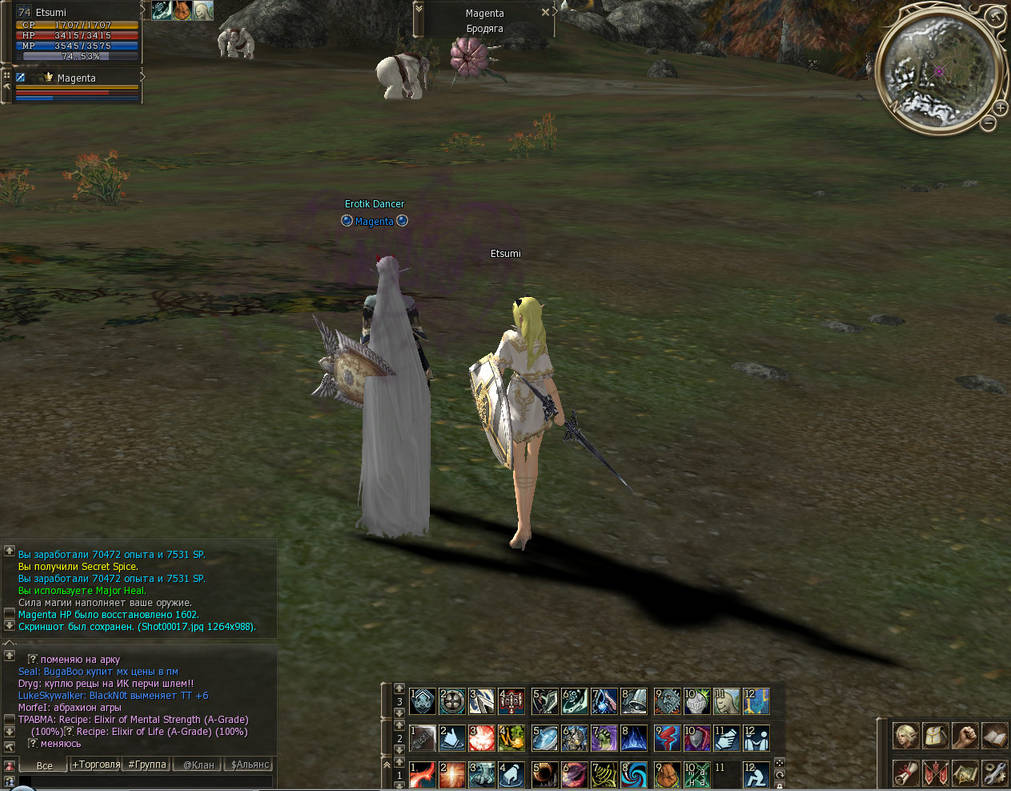 Lineage Screenshot 3 by Magen-ta on DeviantArt