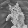 Value Study