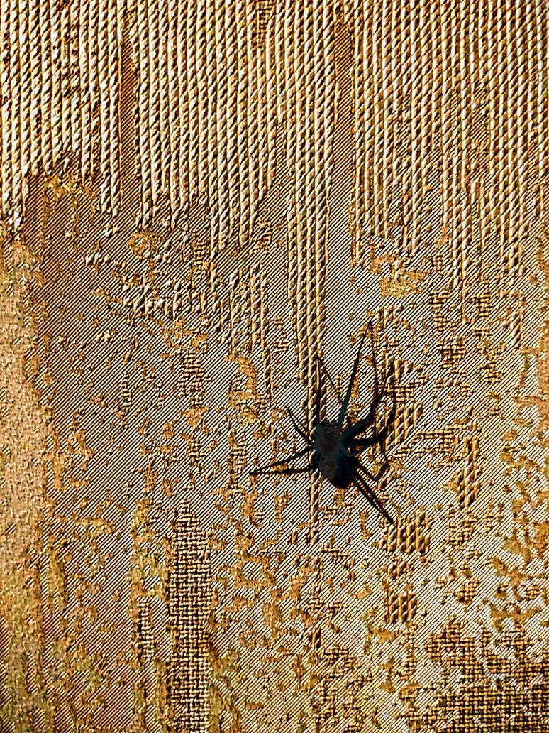 spider in matrix by kingograf on DeviantArt