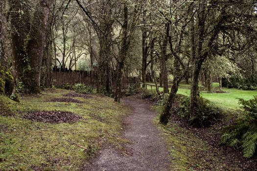 Buried Village