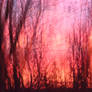 Fiery sunset abstract