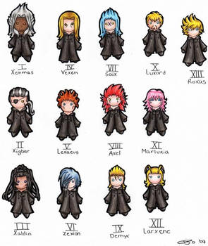 Organization XIII members