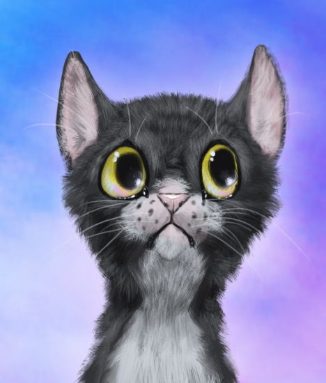 Ravenpaw