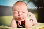 Aiden, Newborn by StephanieRosePhoto