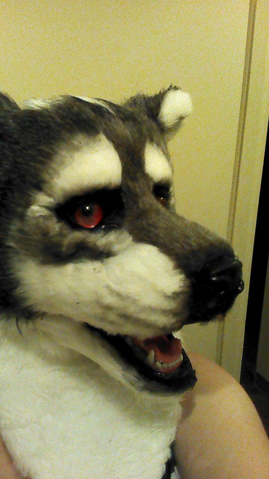 Wolf Mask Complete -Pre Sale-