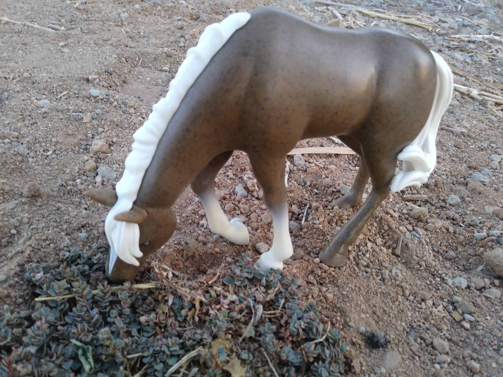 Spirit Riding Free Tiller by LittleKunai