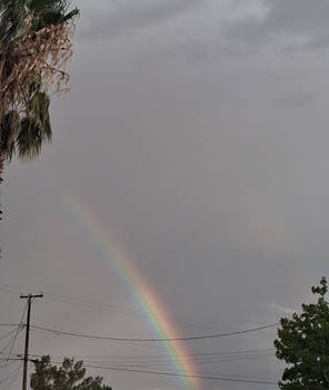 Big Gorgeous Rainbow
