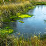 Puddle in Siberia