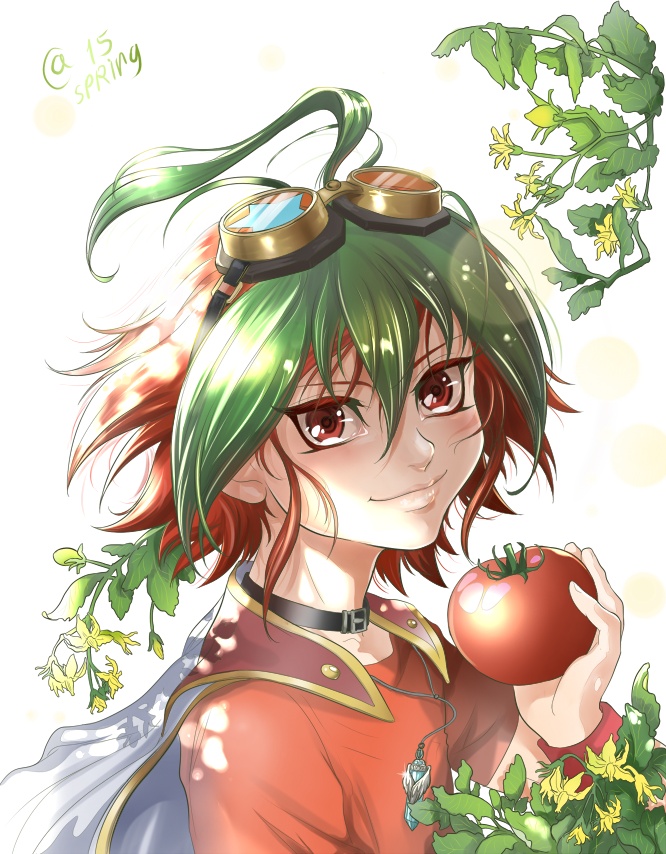 Tomato