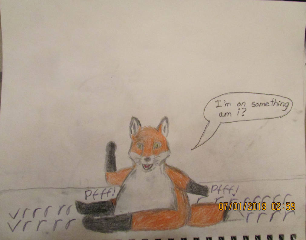 Fox Inflation Anthro fox inflation part 7 by FoxNobody on DeviantArt