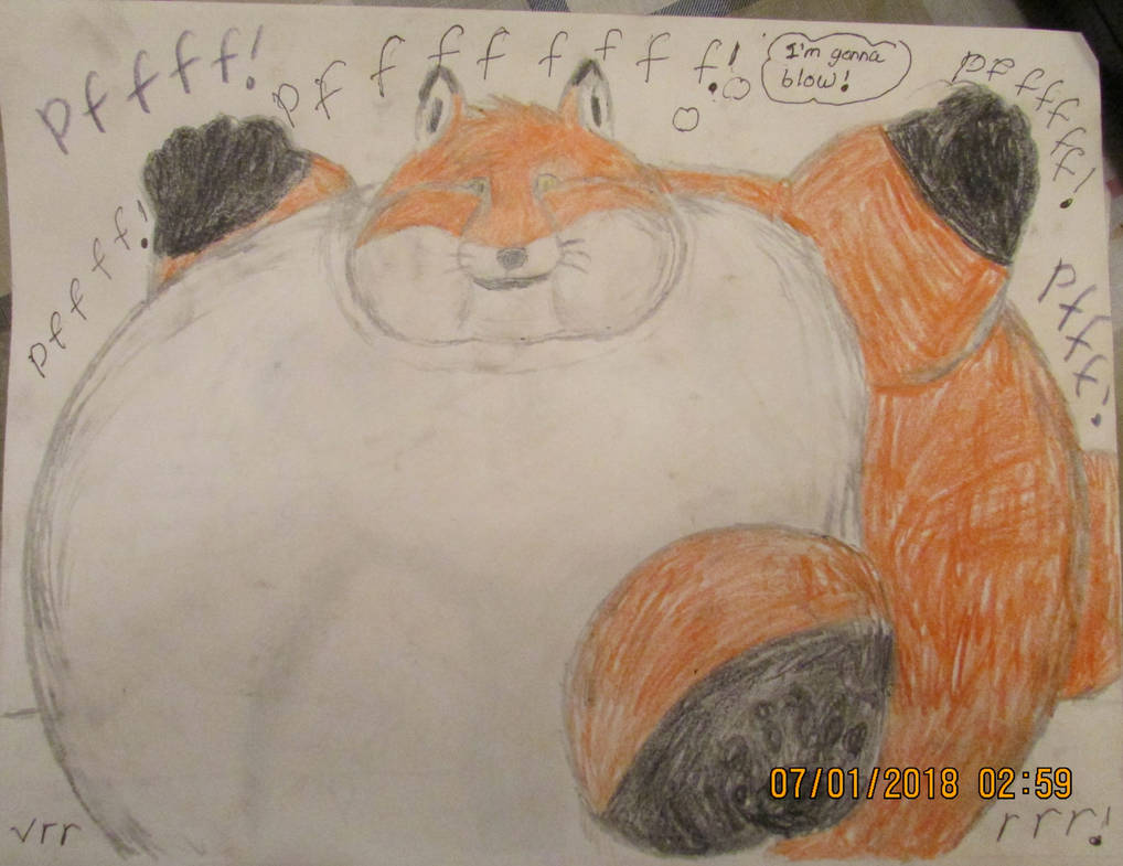 Fox Inflation Anthro fox inflation part 10 by FoxNobody on DeviantArt