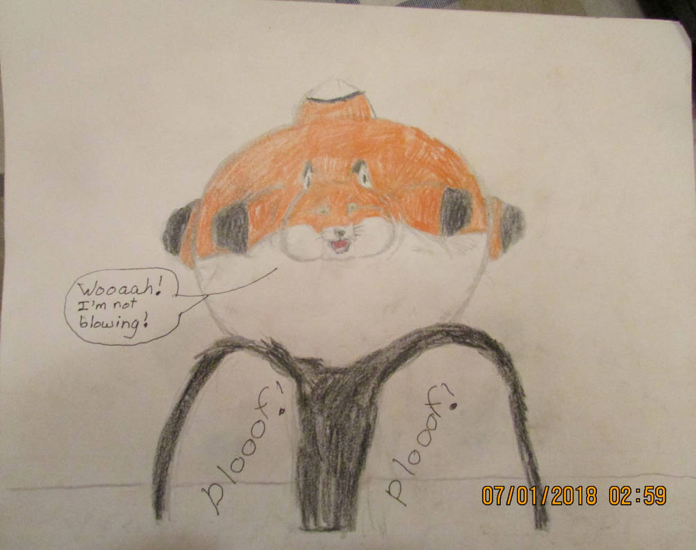 Fox Inflation Anthro fox inflation part 11 by FoxNobody on DeviantArt