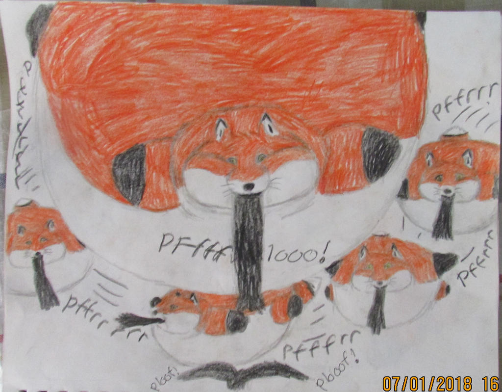 Fox Inflation Anthro fox inflation part 14 by FoxNobody on DeviantArt