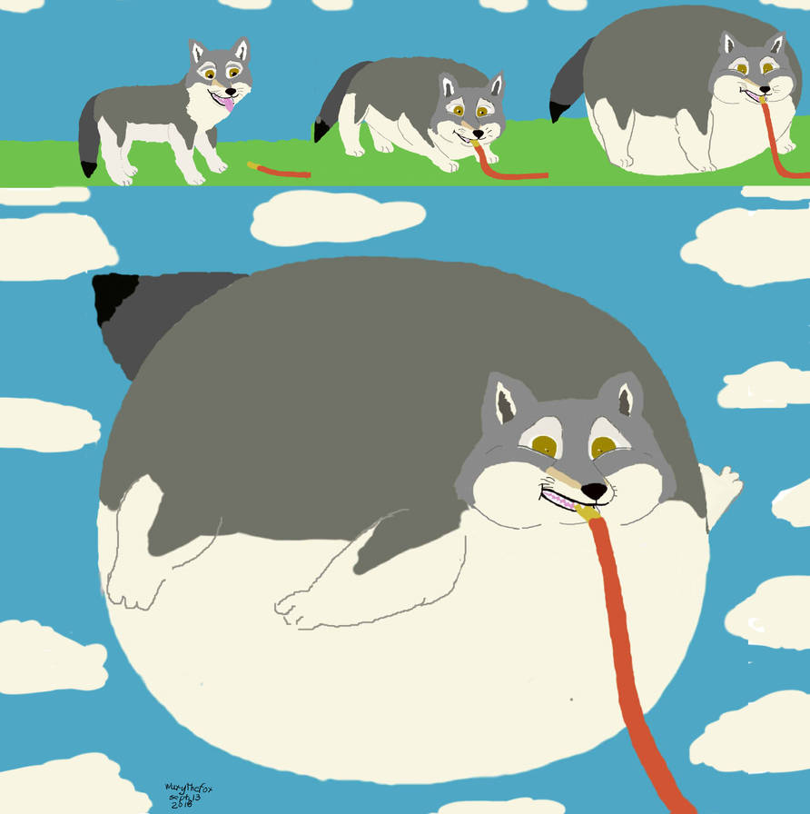 Wolf Inflation A wolf's inflation by FoxNobody on DeviantArt