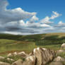 Photo Study - Dartmoor