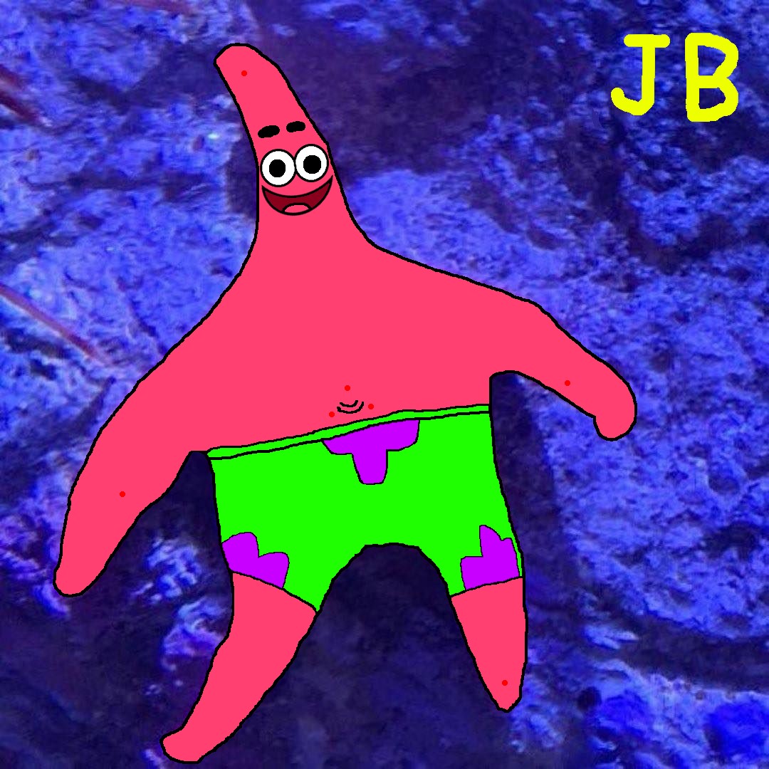 Realistic Patrick Deviantart PATRICK STAR IN REAL LIFE by JUSTICEBEAUFORT1 on DeviantArt