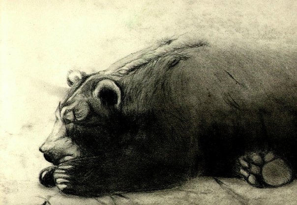 bear in charcoal