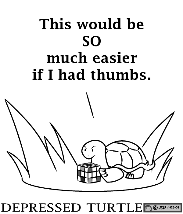 Depressed Turtle 7