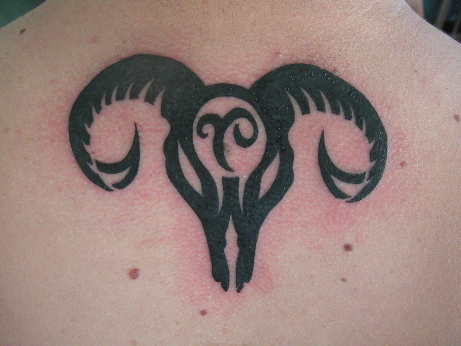 My Aries tattoo