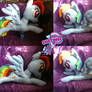 Flying/lying Rainbow Dash 50cm long