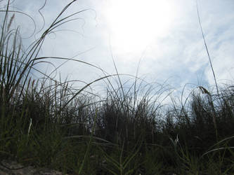 sky at the beach