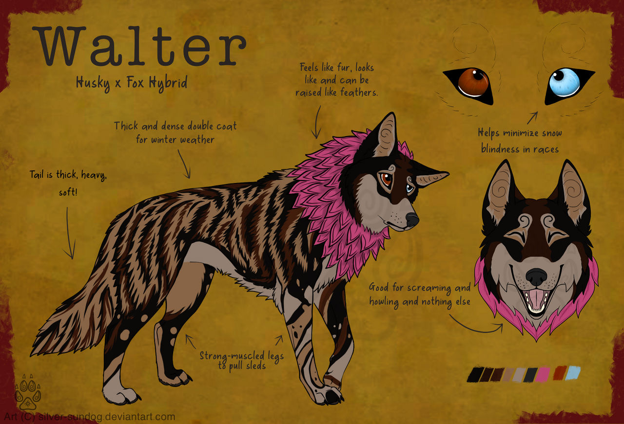 Walter ref sheet!