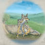 Prairie Wolf