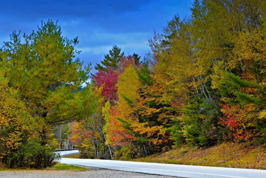 Road with a view