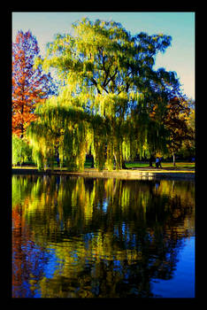 Boston Commons