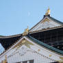 The Castle and the Moon