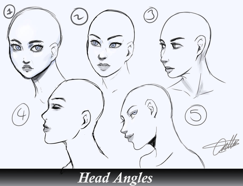 Head Angles Study. by RozuBurakku on DeviantArt