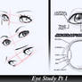 Eyes Study Reference