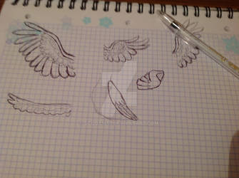 Wings doodles