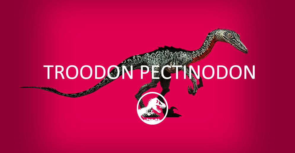 Pectinodon Troodon Pectinodon by Rima-Fennec on DeviantArt