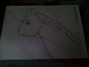Pony Drawing