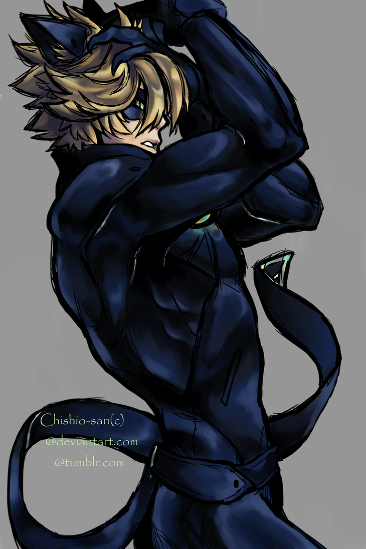 Chat Noir by Jorbinx on DeviantArt.