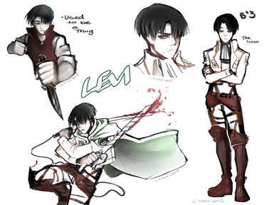 Levi Doodles