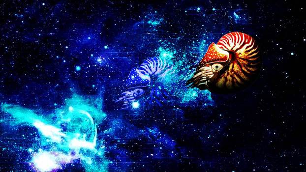 Nautilus in Digital Space